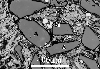 Link to full size image of micrograph 151