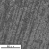 Link to full size image of micrograph 674