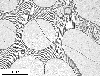Link to full size image of micrograph 704