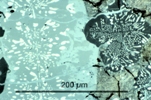 Link to full size image of micrograph 966