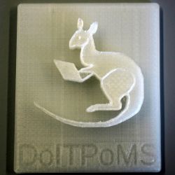 3D printed DoITPoMS logo depicting the kangaroo