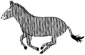 Drawing of zebra aperture