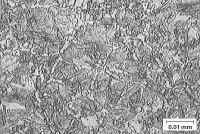 Micrograph of martensite (low alloy steel)