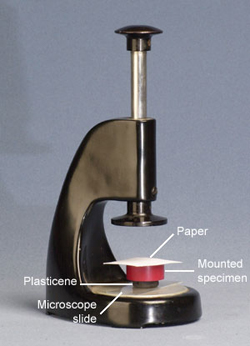 Labelled photograph of specimen levelling press