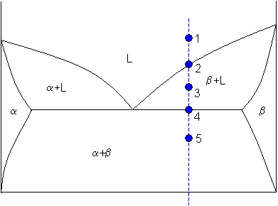 Schematic phase diagram for a binary system