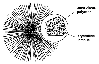 Schematic diagram of spherulite