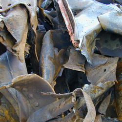 Photo of scrap metals