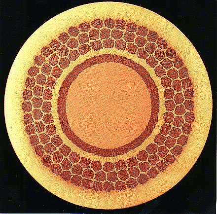 Cross-section of a multi-filament superconducting power cable