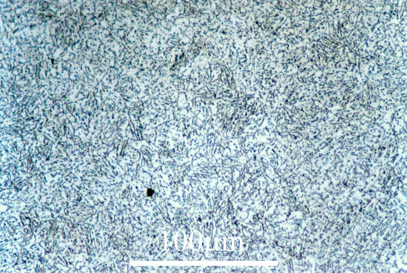 Link to image file for micrograph 329
