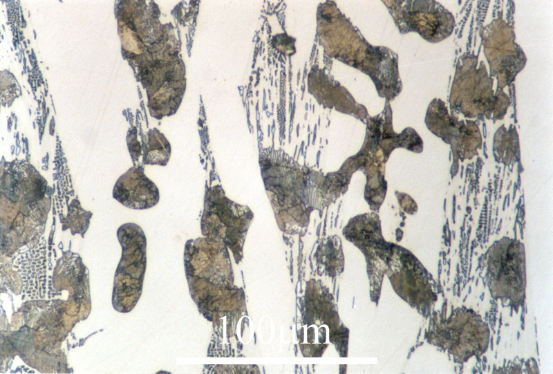 Link to image file for micrograph 411