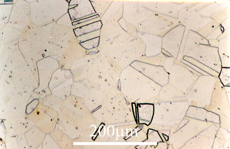 Link to image file for micrograph 432