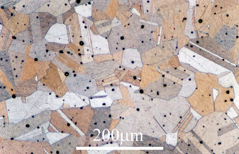 Link to image file for micrograph 490