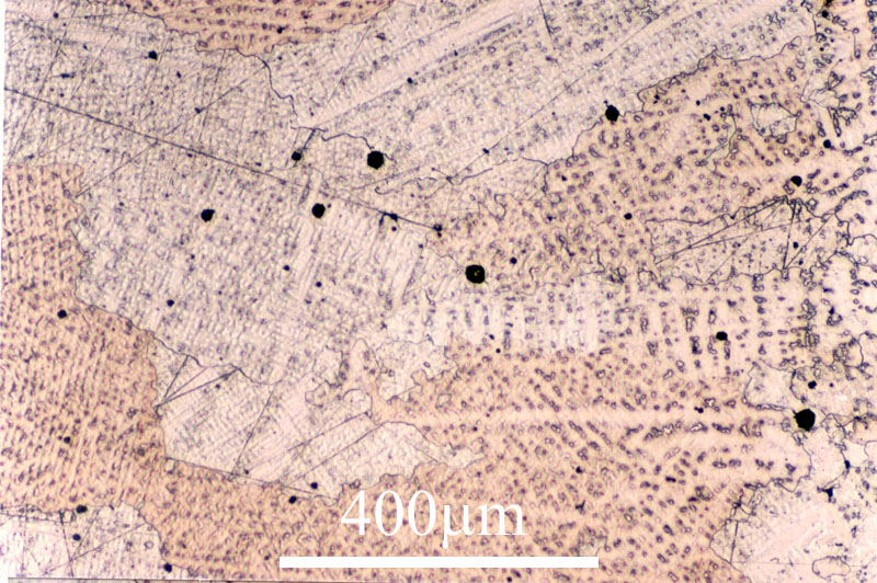 Link to image file for micrograph 501