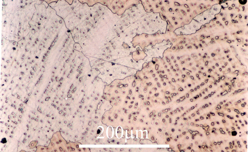 Link to image file for micrograph 502