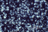 Link to full size image of micrograph 163