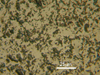 Link to full size image of micrograph 186