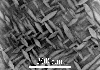 Link to full size image of micrograph 197