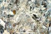Link to full size image of micrograph 247