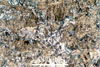 Link to full size image of micrograph 307