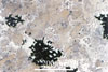 Link to full size image of micrograph 357