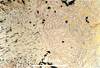 Link to full size image of micrograph 470