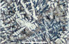 Link to full size image of micrograph 478
