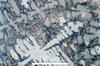 Link to full size image of micrograph 479