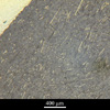 Link to full record for micrograph 596