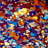 Link to full size image of micrograph 606