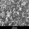 Link to full size image of micrograph 619