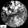 Link to full record for micrograph 656