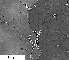 Link to full record for micrograph 660