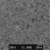 Link to full size image of micrograph 725
