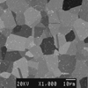 Link to full size image of micrograph 726
