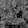 Link to full size image of micrograph 728