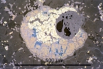 Link to full size image of micrograph 886