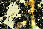Link to full record for micrograph 891