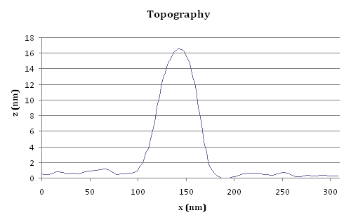 Graph of the topography through a slice of the acquired image