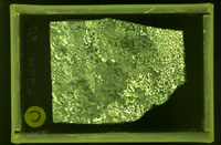 Photograph of polycrystalline sample of quartz mixed with feldspar