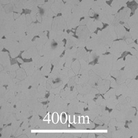 Micrograph of hypoeutectoid iron-carbon alloy