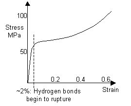 Stress-strain curve of a human hair