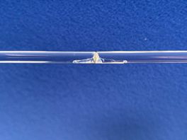 uniaxial compression on perspex