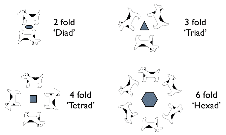 Examples of n-fold rotational symmetry