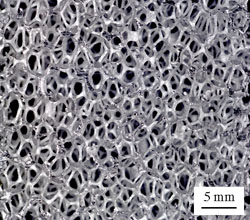 micrograph of AM foam