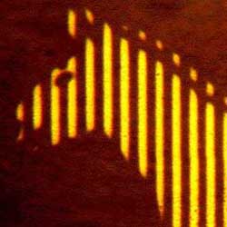 Photo of a zebra diffraction grating