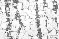 Micrograph of ferrite/pearlite (low alloy steel)