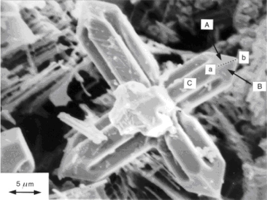 Scanning electron micrograph of a niobium carbide dendrite in a Fe-34wt%Cr-5wt%Nb-4.5wt%C alloy