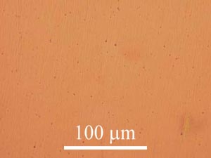 Copper specimen polished to 6 micron level