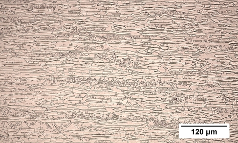 micrograph of duplex stainless steel