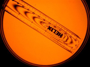 Photograph of a ruler viewed through a plane polariscope